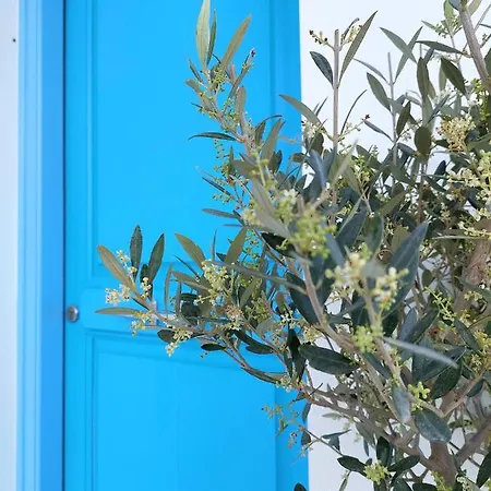 Kapris House Apartament Agios Prokopios (Naxos)