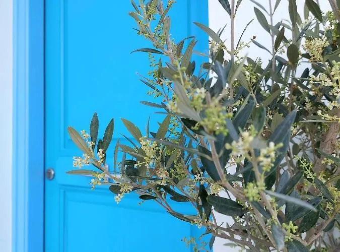 Kapris House דירה איוס פרוקופיוס